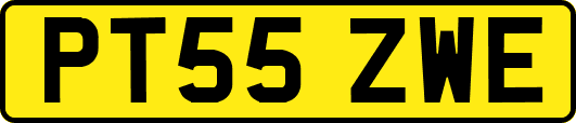 PT55ZWE