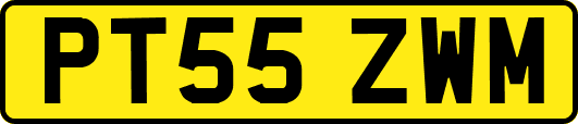 PT55ZWM