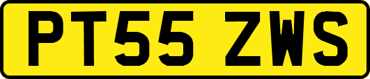 PT55ZWS