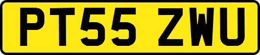 PT55ZWU