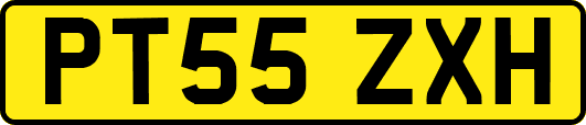 PT55ZXH