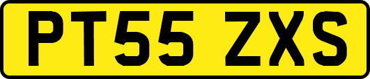PT55ZXS