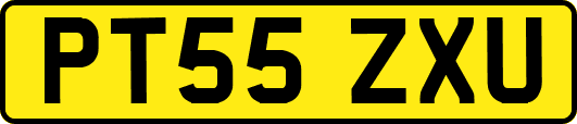 PT55ZXU