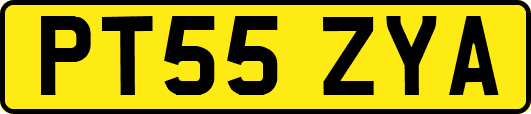 PT55ZYA