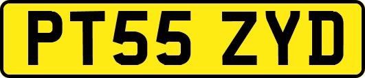 PT55ZYD