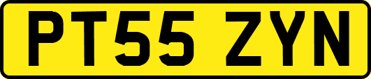 PT55ZYN