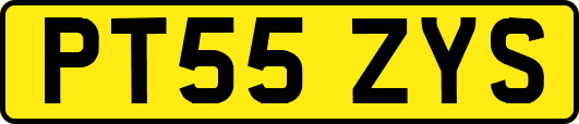 PT55ZYS