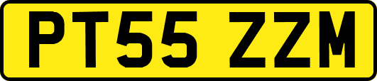 PT55ZZM