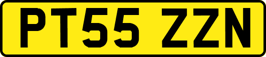 PT55ZZN