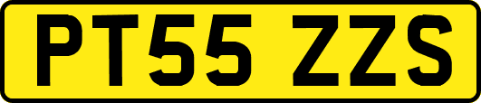 PT55ZZS