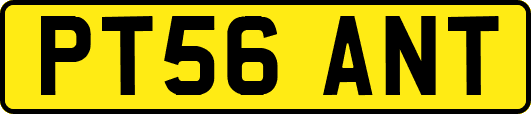 PT56ANT