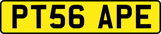 PT56APE