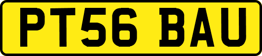 PT56BAU