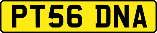 PT56DNA