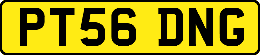 PT56DNG