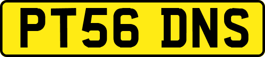 PT56DNS