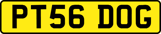 PT56DOG
