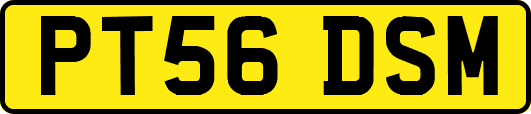 PT56DSM