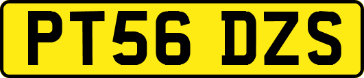 PT56DZS