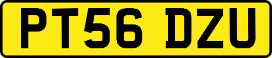 PT56DZU