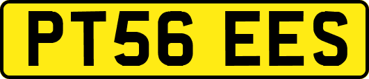 PT56EES