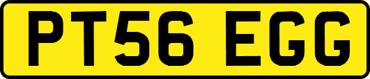 PT56EGG
