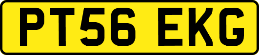 PT56EKG