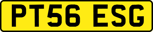 PT56ESG