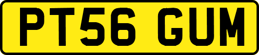 PT56GUM
