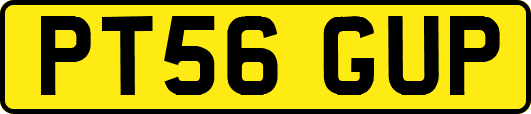 PT56GUP