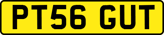 PT56GUT