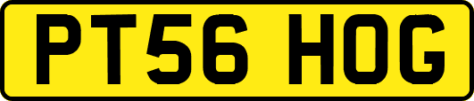 PT56HOG