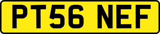 PT56NEF