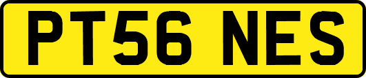 PT56NES