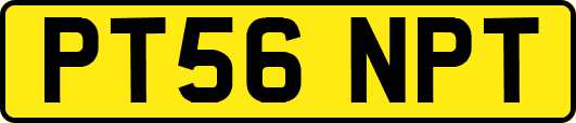 PT56NPT