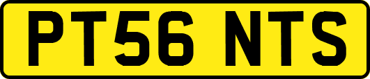 PT56NTS
