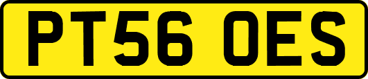 PT56OES