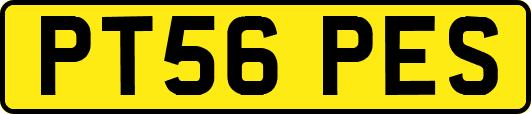 PT56PES