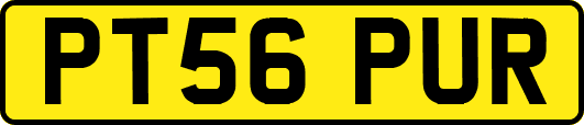 PT56PUR