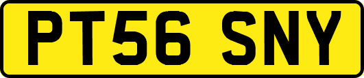 PT56SNY