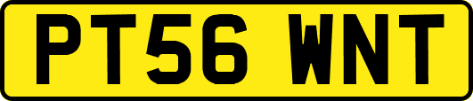 PT56WNT