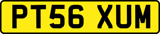PT56XUM