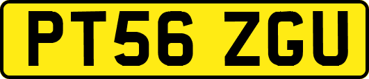 PT56ZGU