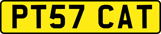 PT57CAT