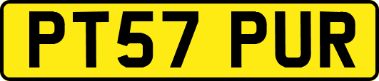 PT57PUR