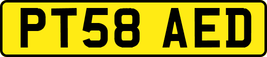 PT58AED