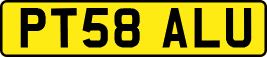 PT58ALU