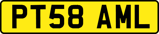 PT58AML