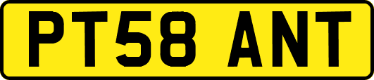 PT58ANT