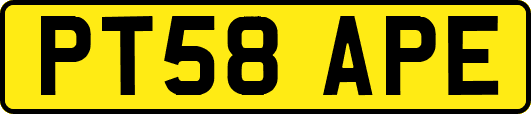 PT58APE